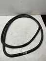 Front door rubber seal