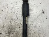 Rear shock absorber/damper