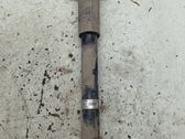 Rear shock absorber/damper