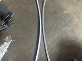 Roof trim bar molding cover