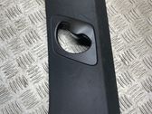 (C) pillar trim