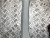(A) pillar trim