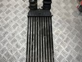 Intercooler radiator