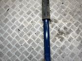 Rear shock absorber/damper
