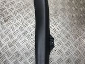 Other sill/pillar trim element