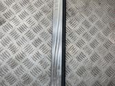 Front sill trim cover