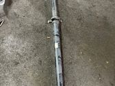 Drive shaft (set)