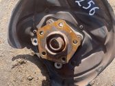 Rear wheel hub