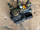 Air suspension control unit module (rear)