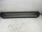 Front bumper lower grill