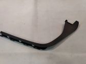 Other rear door trim element