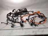 Engine installation wiring loom