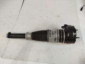Rear shock absorber/damper