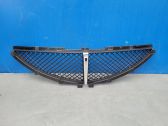 Front bumper upper radiator grill
