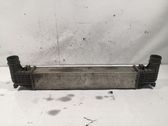 Intercooler radiator