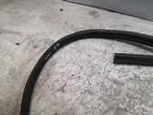 Rear door rubber seal (on body)