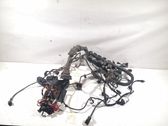Faisceau de câblage pour moteur