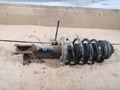 Front shock absorber with coil spring