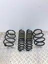 Front coil spring