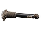 Rear shock absorber/damper