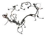 Engine installation wiring loom