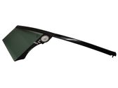 Rear door window glass