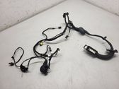 Front door wiring loom