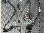 Front door wiring loom