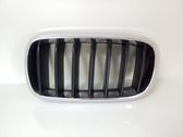 Front bumper upper radiator grill