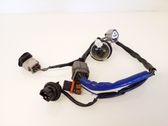 Headlight/headlamp wiring loom/harness