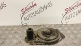 Coil spring/strut mount