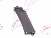(C) pillar trim