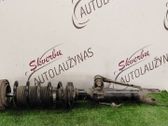 Front shock absorber with coil spring