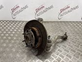 Rear wheel hub