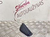 Kita bagažinės apdailos detalė