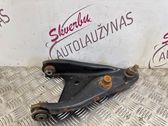 Front lower control arm/wishbone