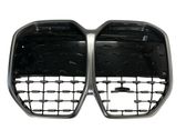 Front grill