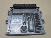 Engine control unit/module ECU