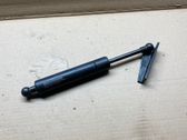 Tailgate/trunk strut/damper