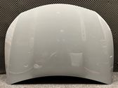 Engine bonnet/hood