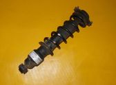 Rear shock absorber/damper