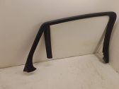 Rear door glass trim molding