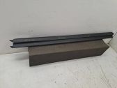 Other rear door trim element