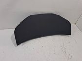 Dashboard trim