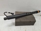 Tailgate/trunk strut/damper