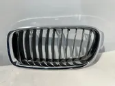 Front grill