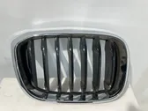 Front bumper upper radiator grill