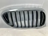 Front bumper upper radiator grill