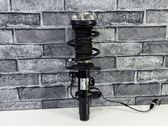 Front shock absorber with coil spring