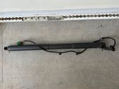 Tailgate/trunk strut/damper